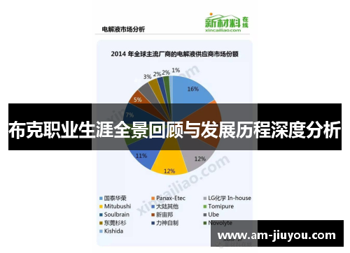 布克职业生涯全景回顾与发展历程深度分析