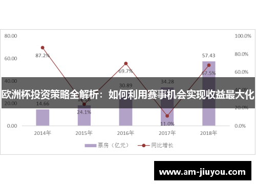 欧洲杯投资策略全解析：如何利用赛事机会实现收益最大化