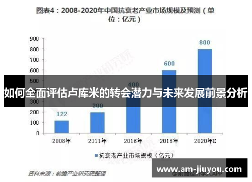 如何全面评估卢库米的转会潜力与未来发展前景分析