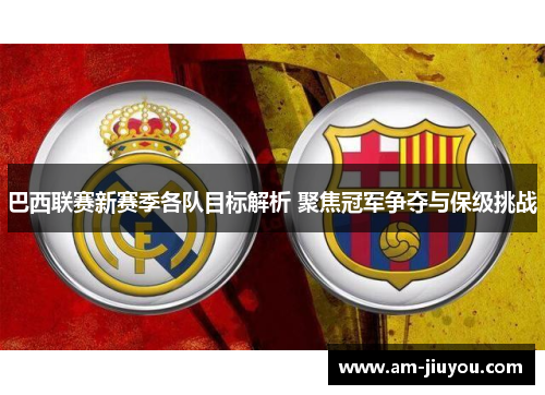 巴西联赛新赛季各队目标解析 聚焦冠军争夺与保级挑战
